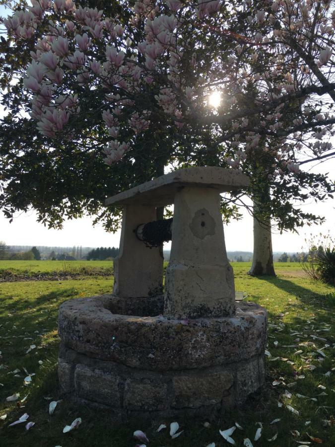 فندق L'Evidence Bragny-sur-Saone المظهر الخارجي الصورة